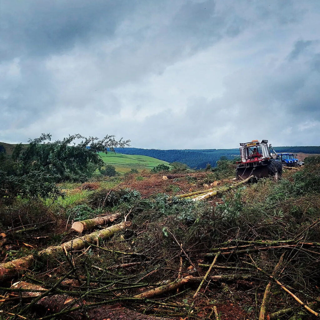 Site Clearance Services in Carlisle & Cumbria by White's Tree Services.