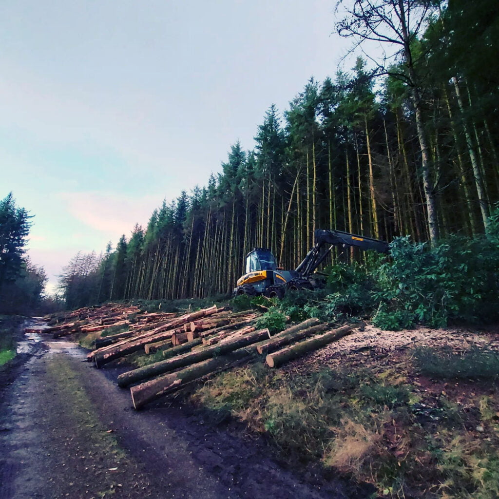 Forestry Services in Carlisle & Cumbria by White's Tree Services.