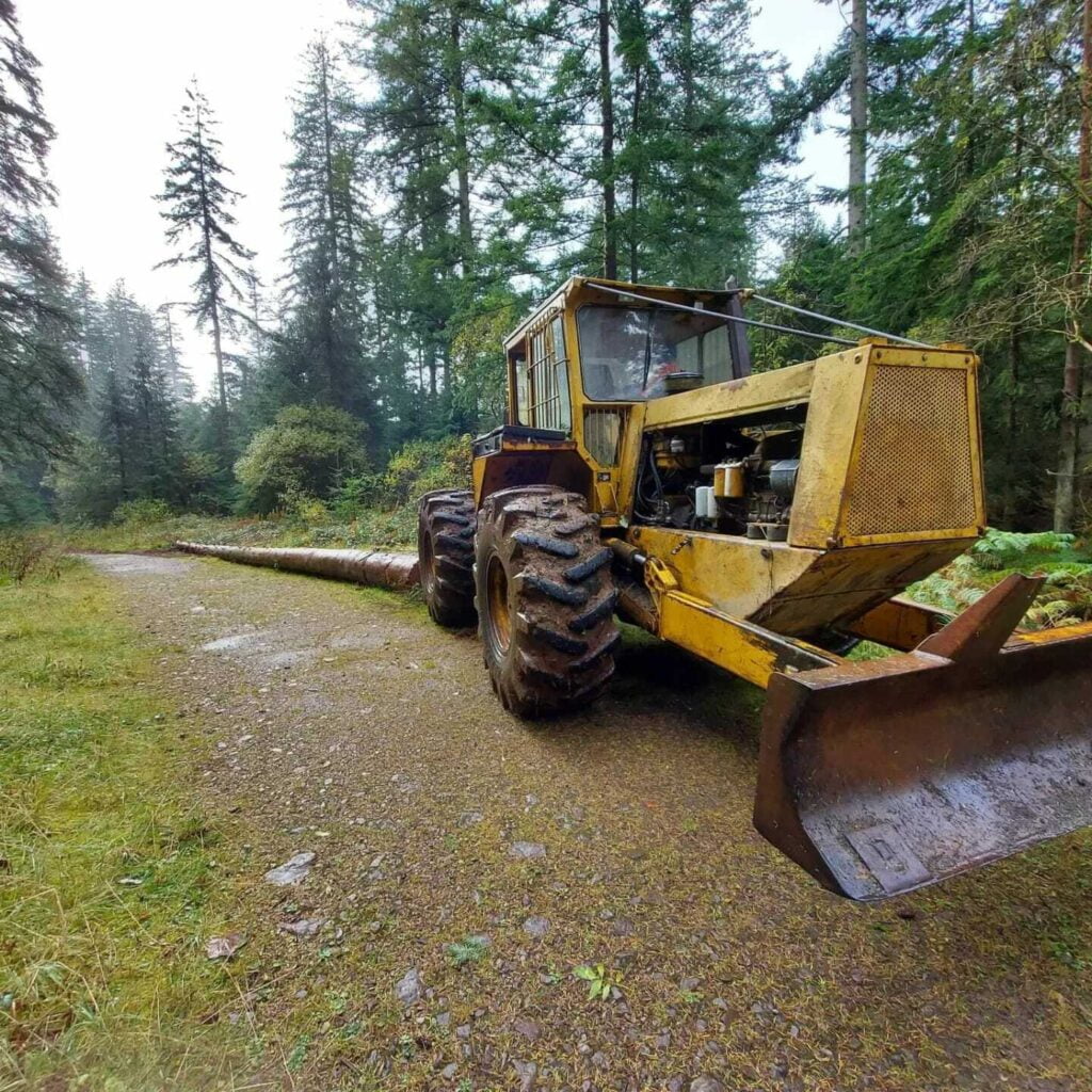 Forestry Services in Carlisle & Cumbria by White's Tree Services.