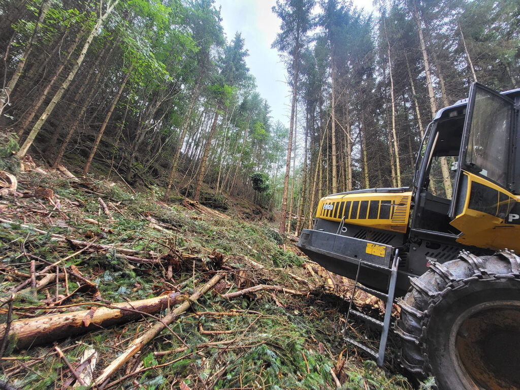 Forestry Services in Carlisle & Cumbria by White's Tree Services.