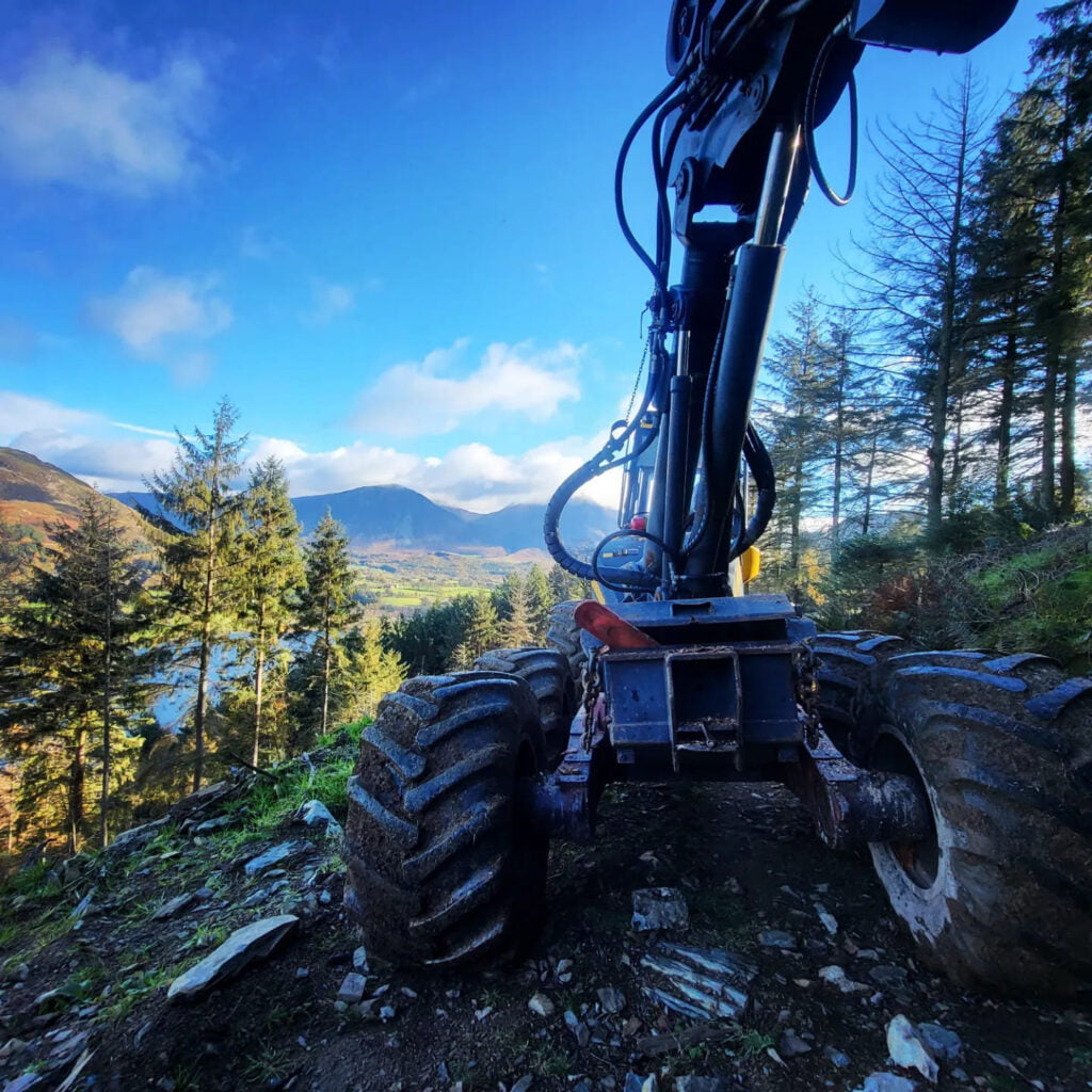 Forestry Services in Carlisle & Cumbria by White's Tree Services.