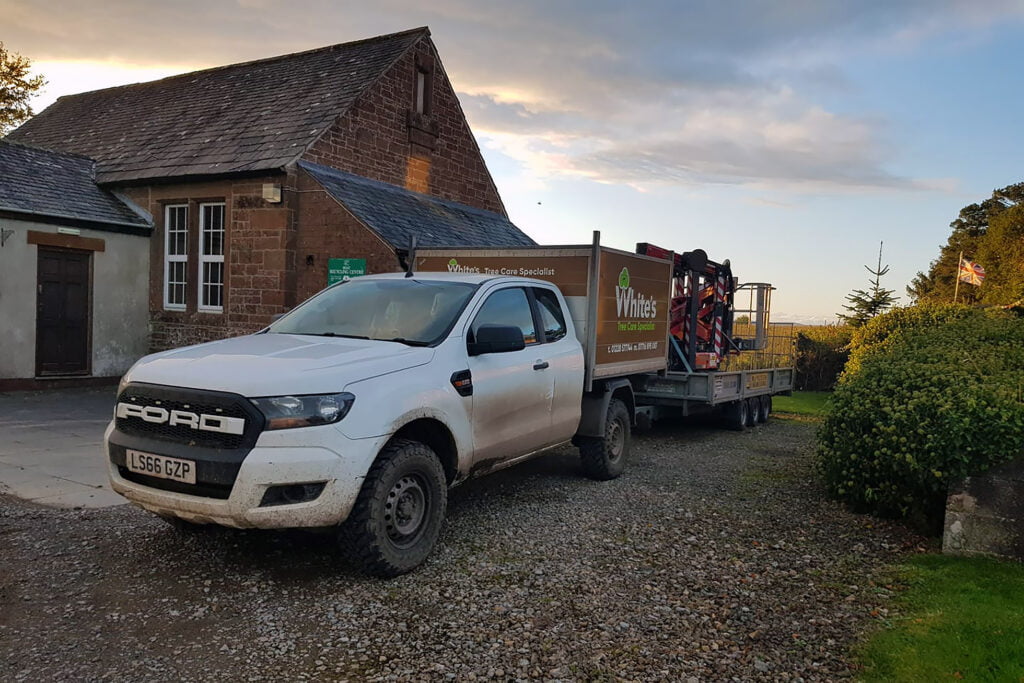 Utility Works & Roadside Tree & Vegetation Clearance by White's Tree Services in Carlisle & Cumbria.