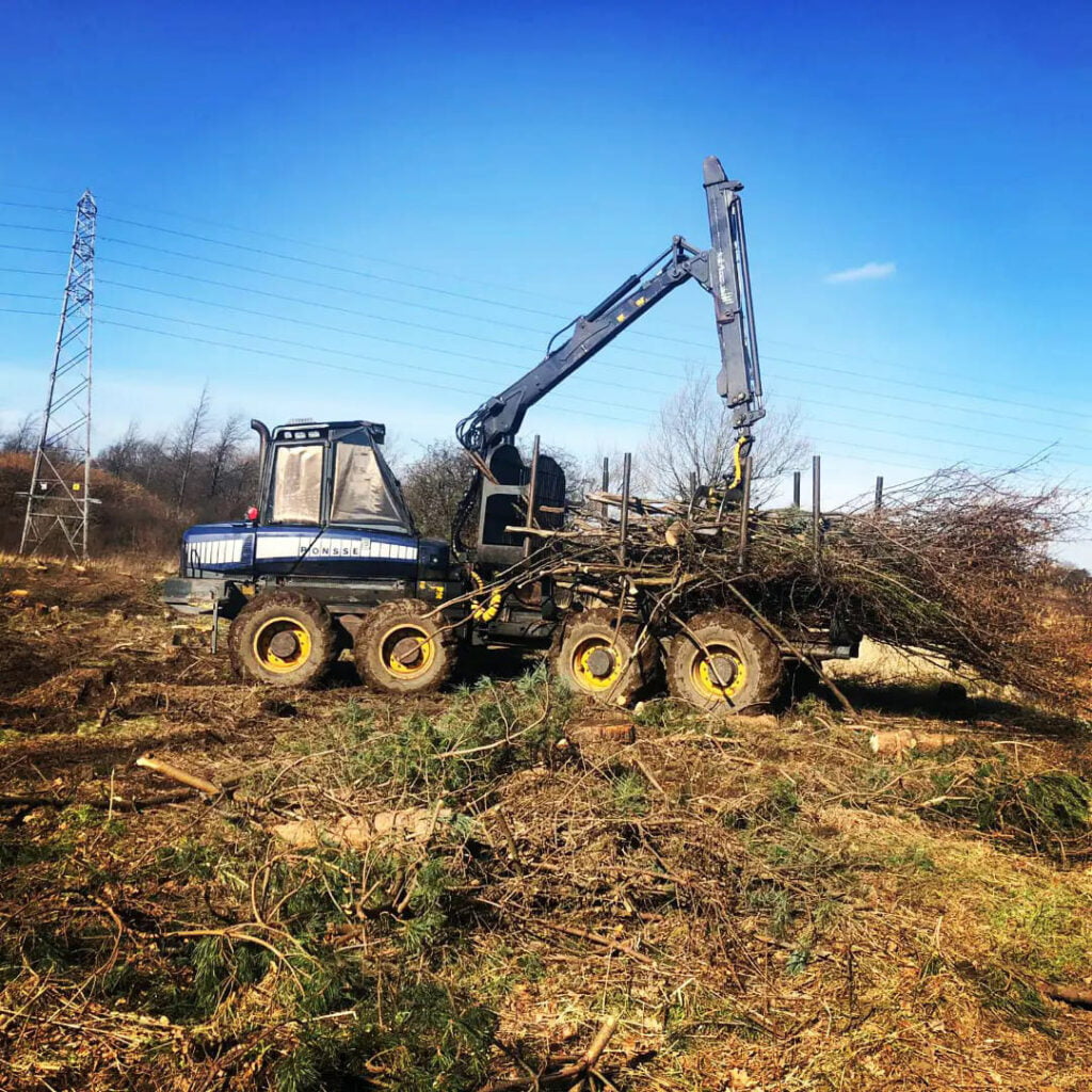 Utility Works & Roadside Tree & Vegetation Clearance by White's Tree Services in Carlisle & Cumbria.